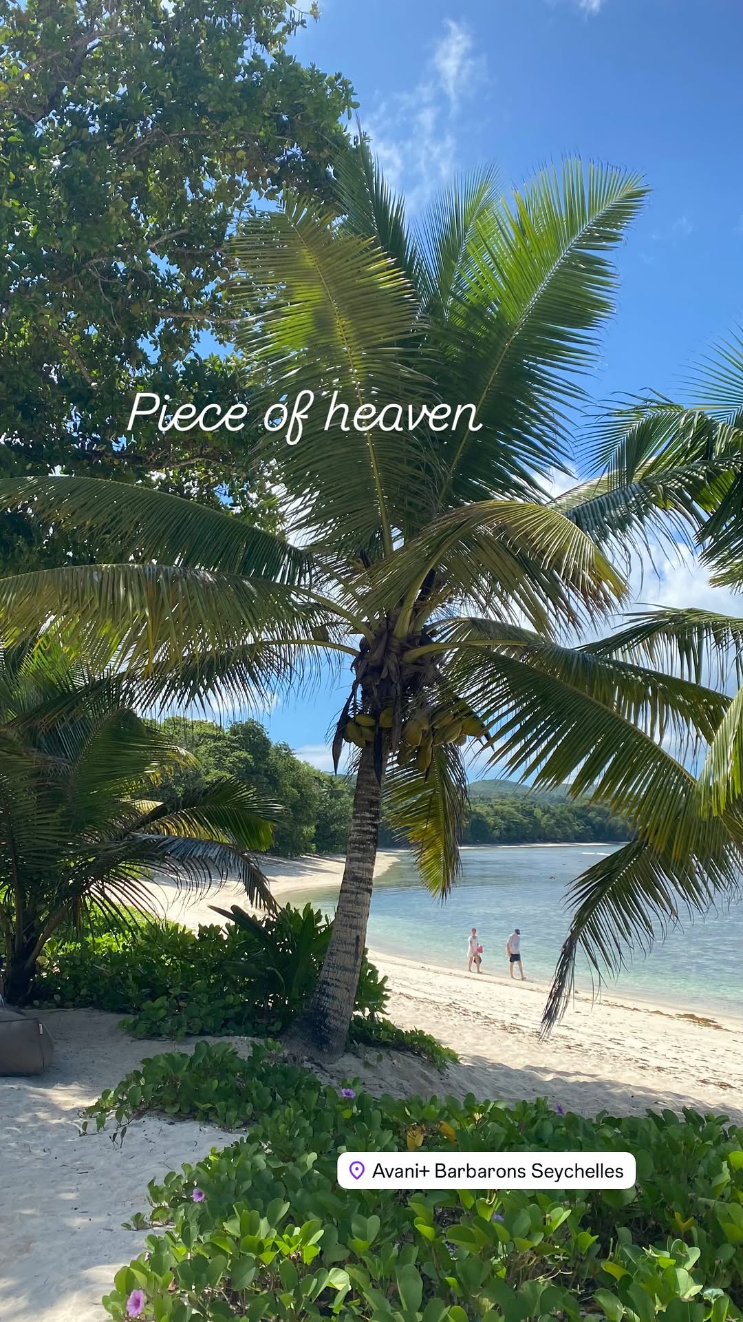 новая фото в сторис @subbotinadasha 28.02.2026