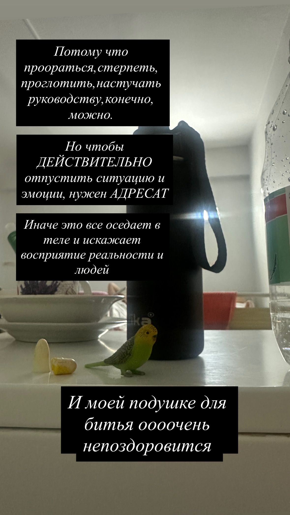 новая фото в сторис @vazuli 28.02.2026