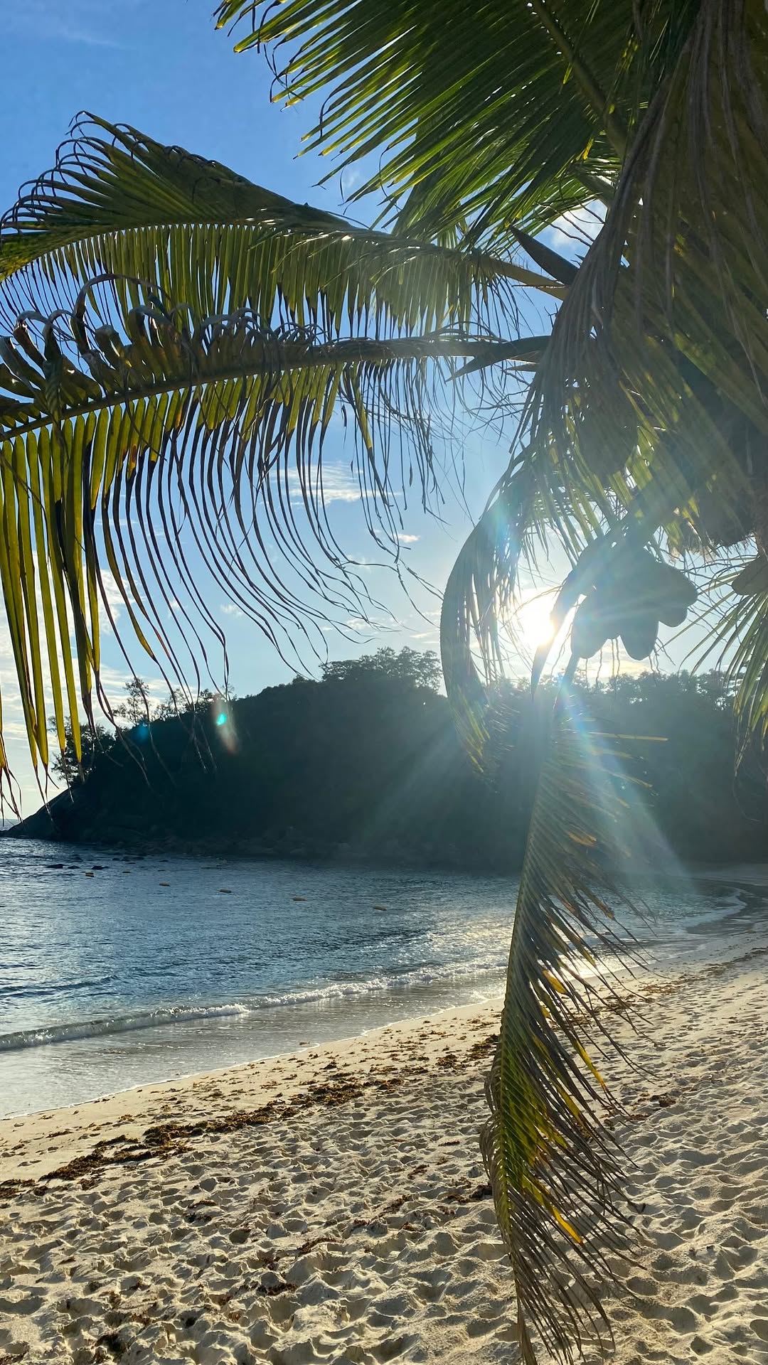 новая фото в сторис @subbotinadasha 28.02.2026