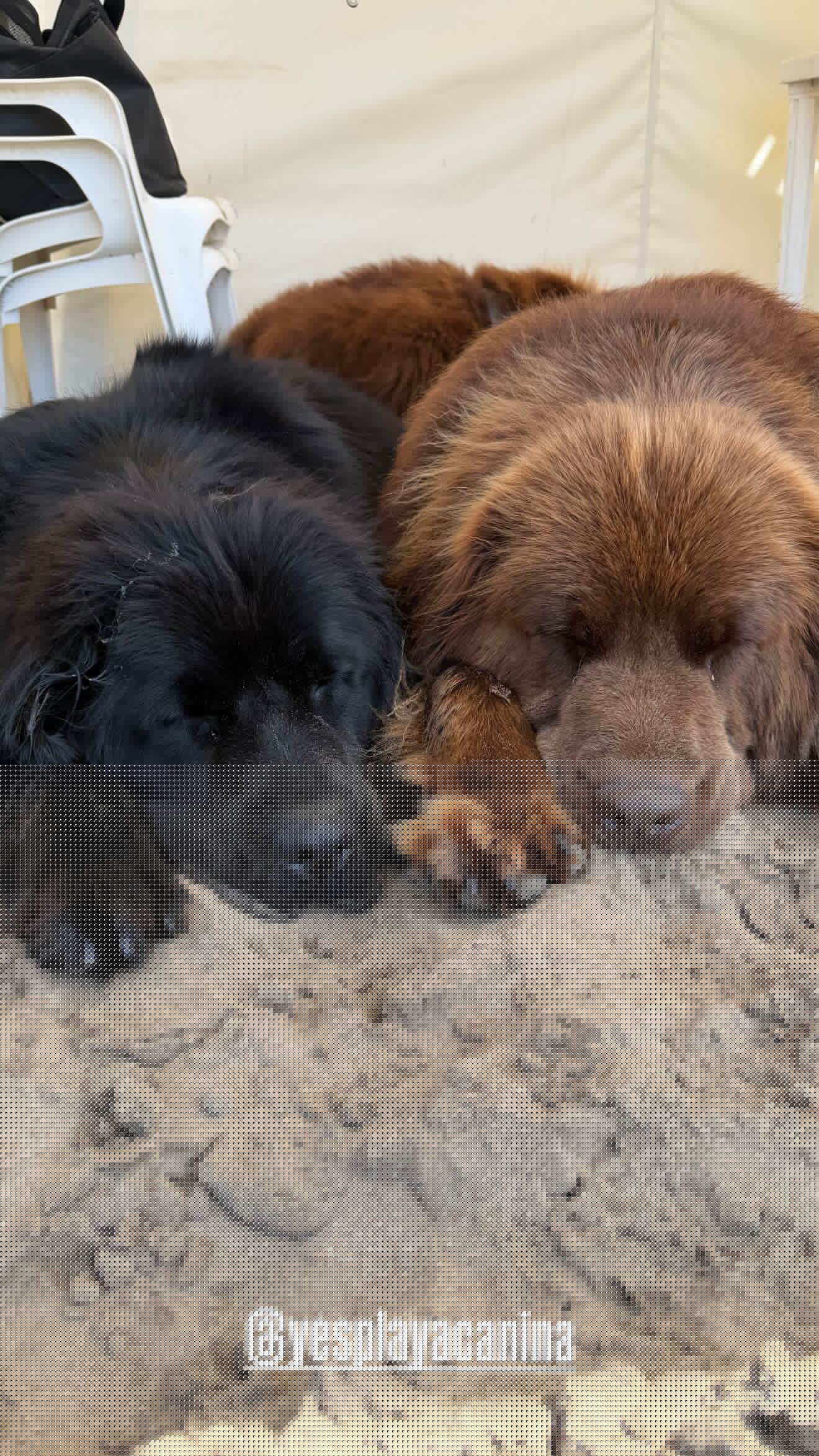 новая фото в сторис @diecramos 02.03.2026