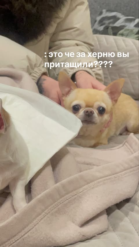 новая фото в сторис @elenkravchenko 06.03.2026