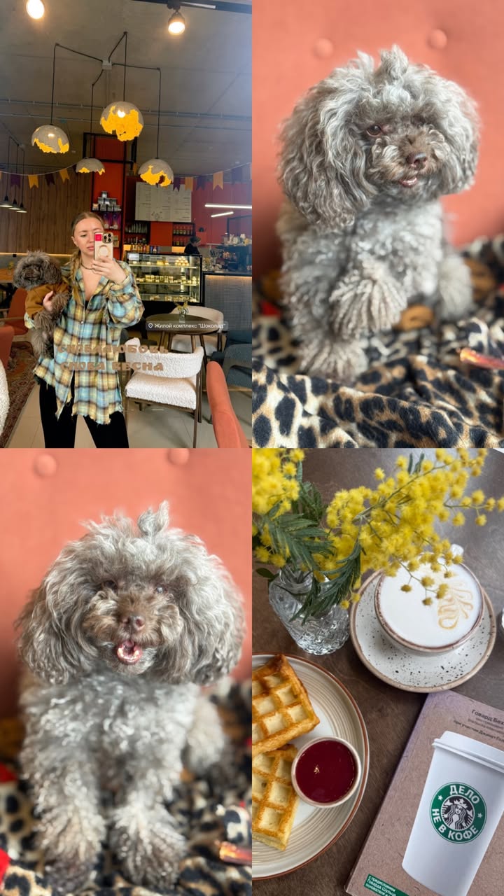 новая фото в сторис @oksa.igonina 07.03.2026