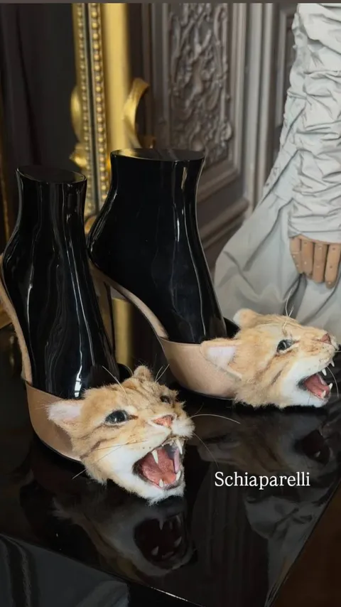 новая фото в сторис @vanya_vasiliev 07.03.2026