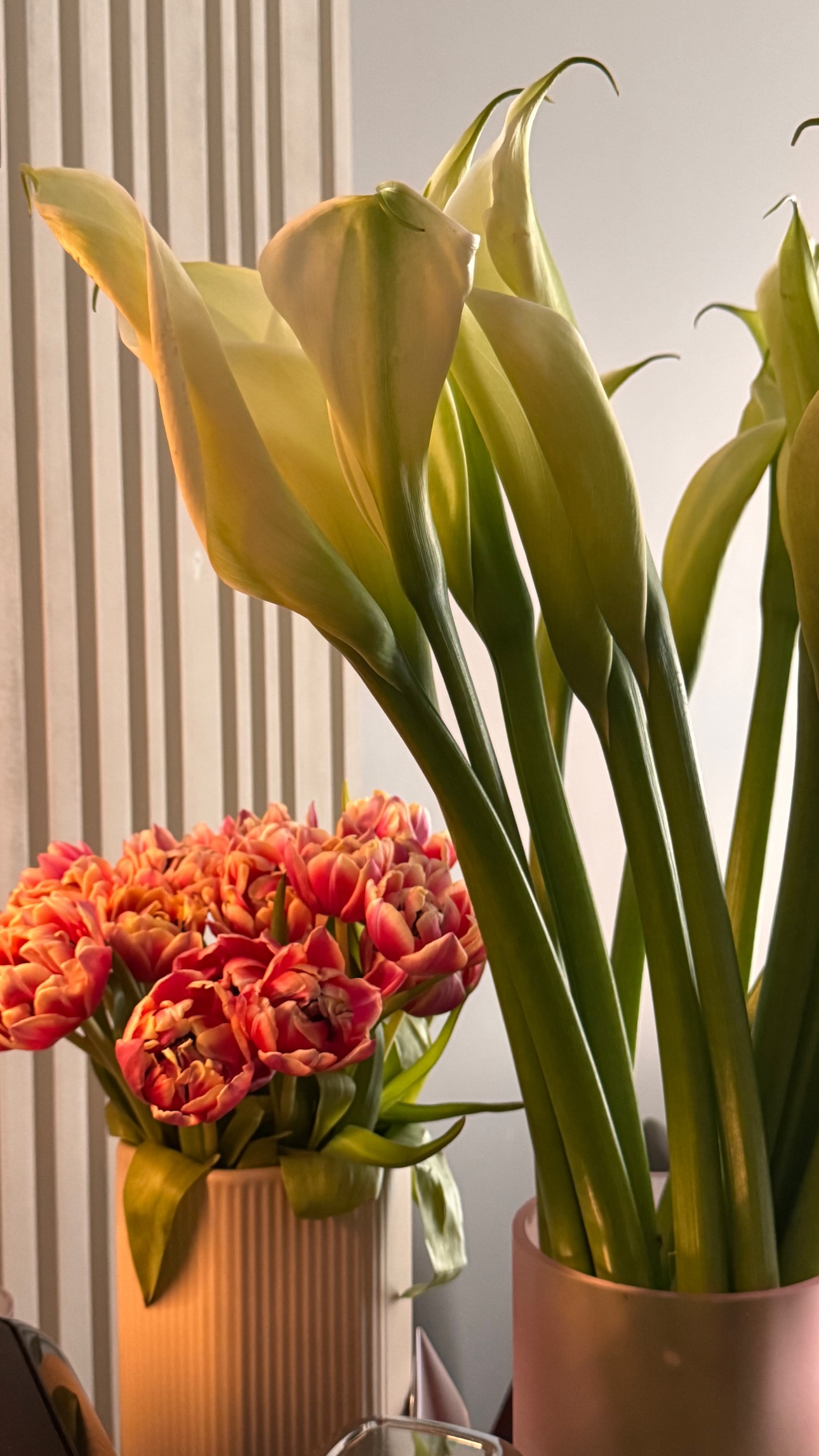 новая фото в сторис @vuudhe 07.03.2026