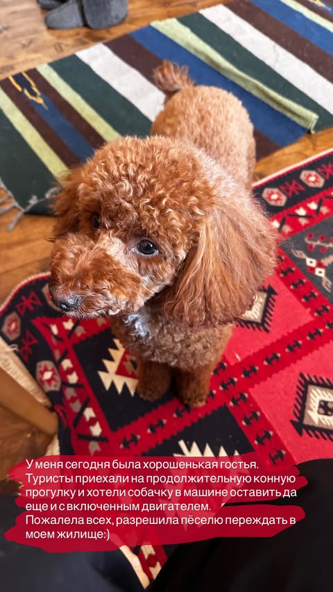 новая фото в сторис @svpogodina 08.03.2026