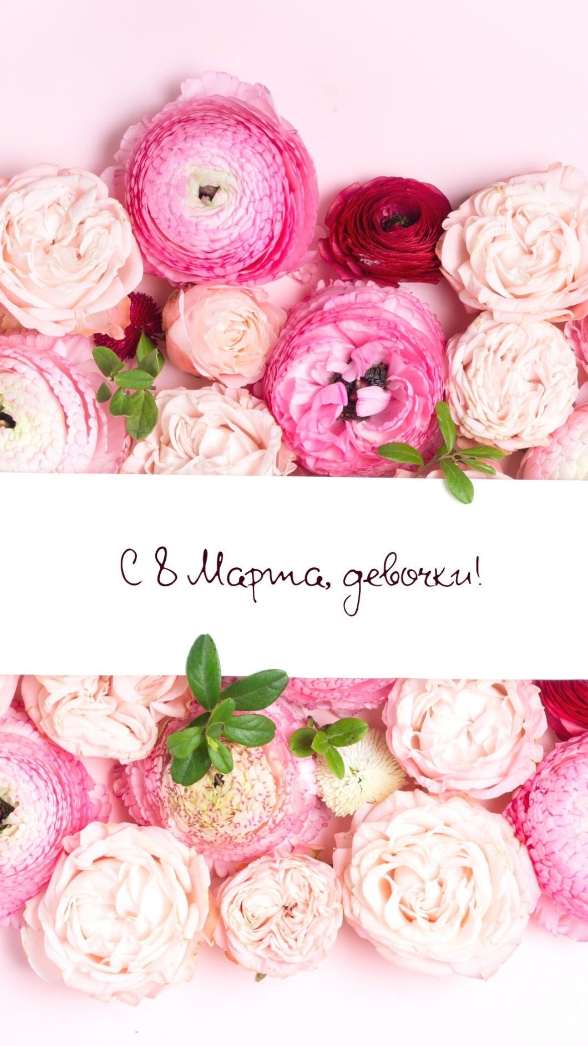 новая фото в сторис @__alasheeva__o.a.__ 08.03.2026