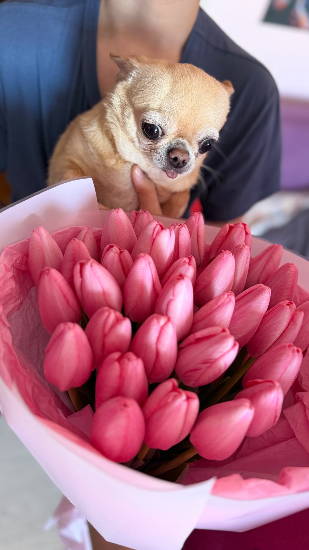 новая фото в сторис @elenkravchenko 08.03.2026