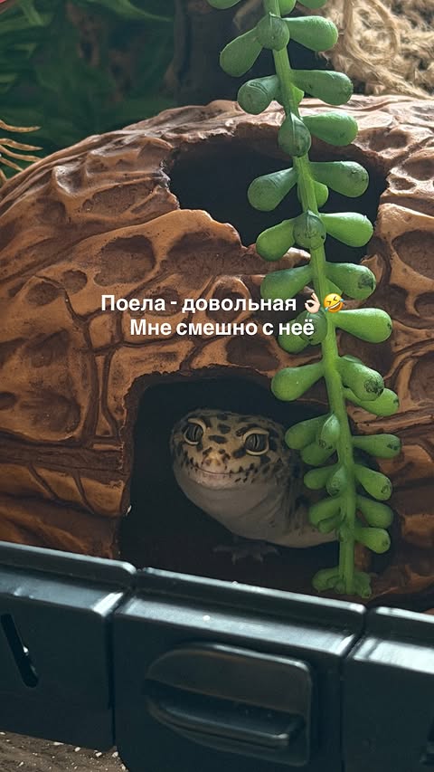 новая фото в сторис @alleksasa 08.03.2026