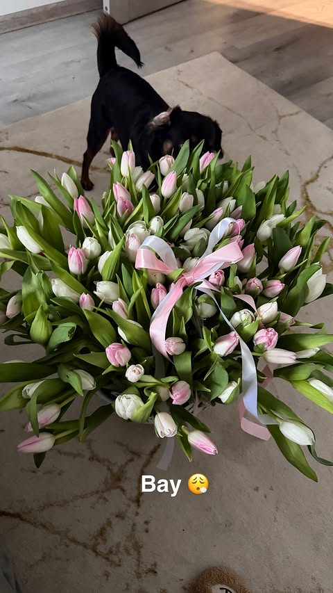 новая фото в сторис @alleksasa 08.03.2026