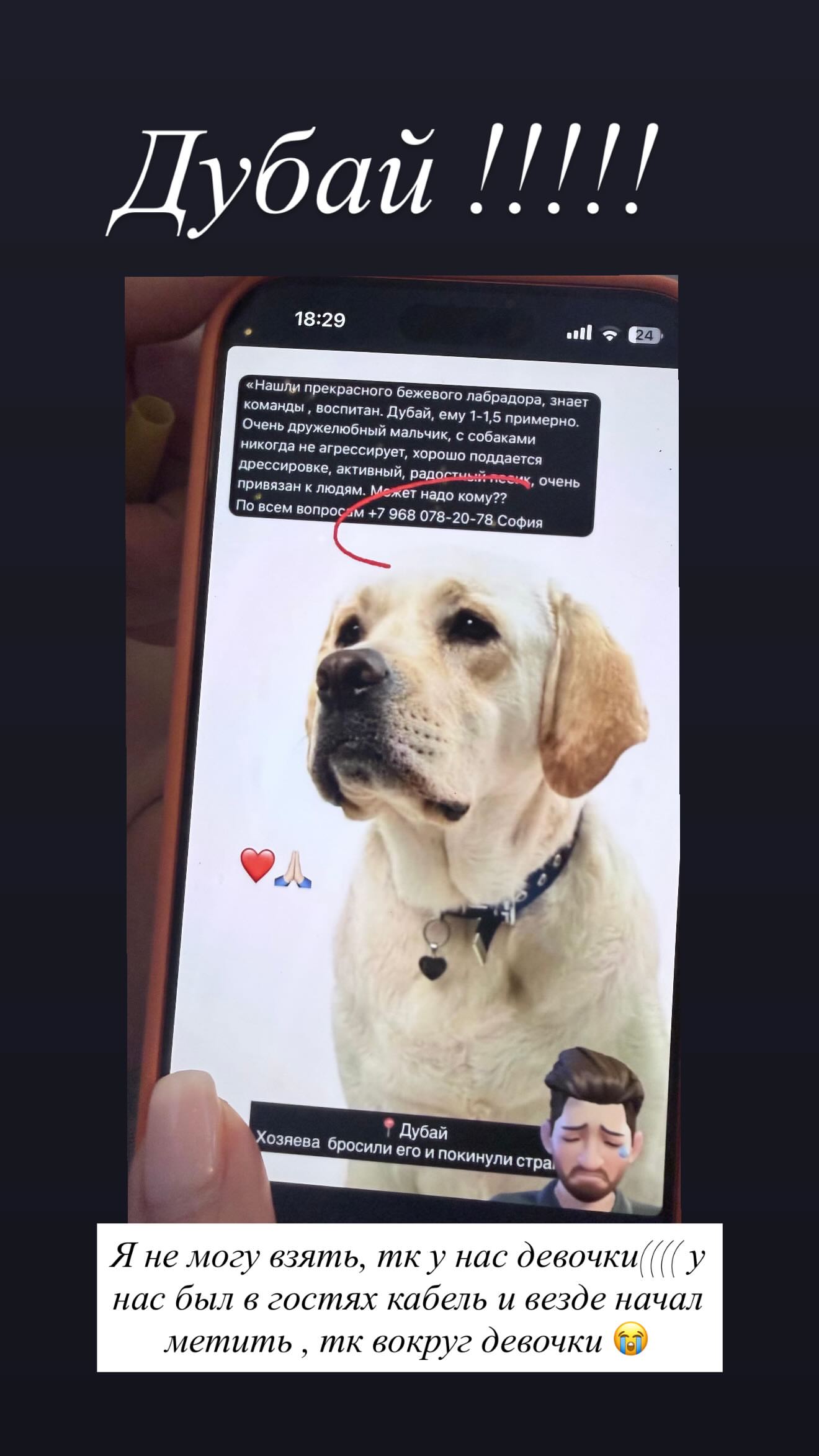 новая фото в сторис @katyajuja555 09.03.2026