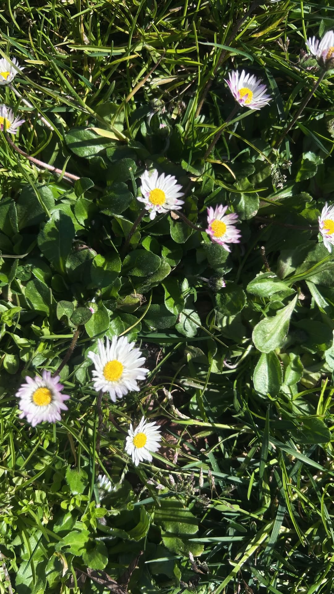 новая фото в сторис @dashuta2012dv 09.03.2026