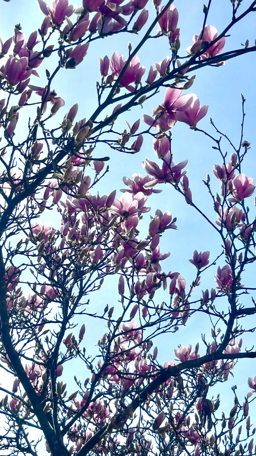 новая фото в сторис @dashuta2012dv 09.03.2026