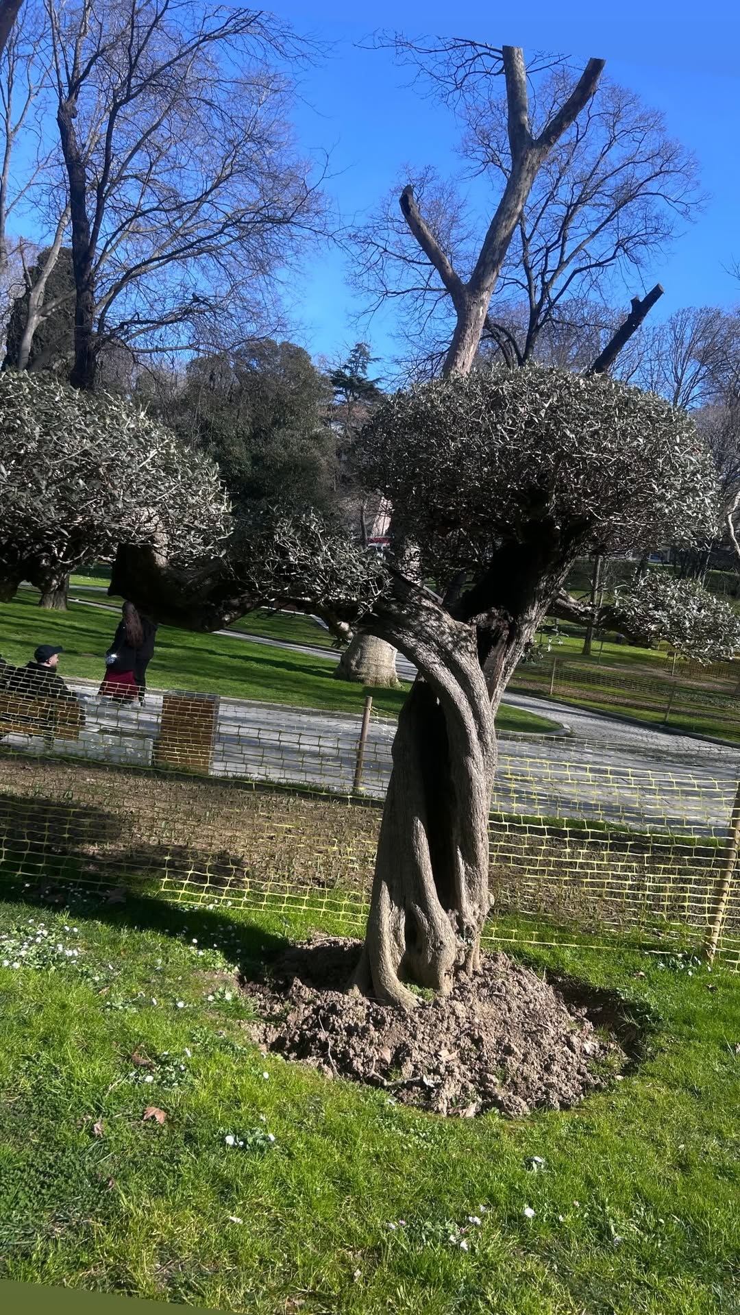 новая фото в сторис @dashuta2012dv 09.03.2026