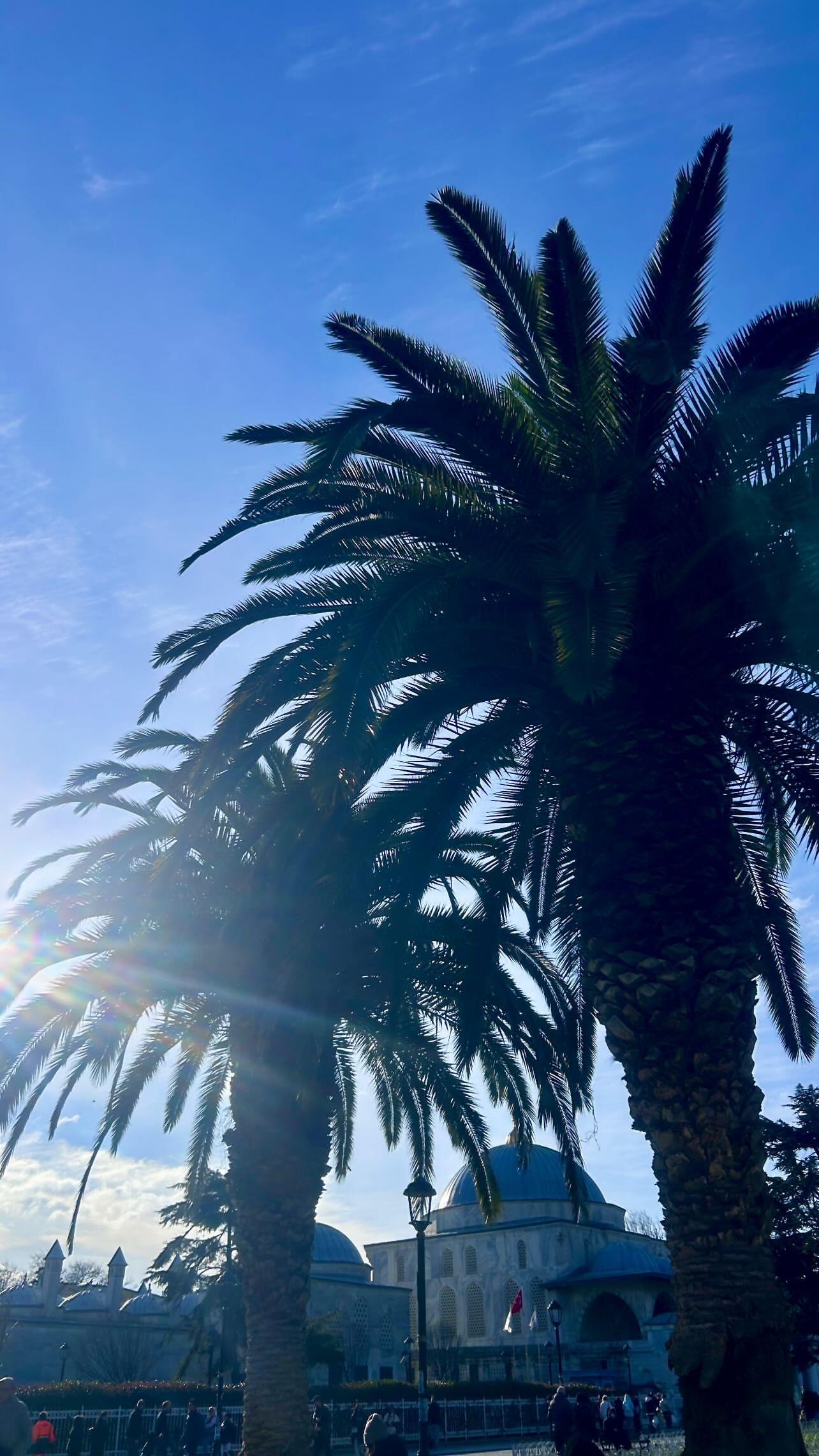 новая фото в сторис @dashuta2012dv 09.03.2026