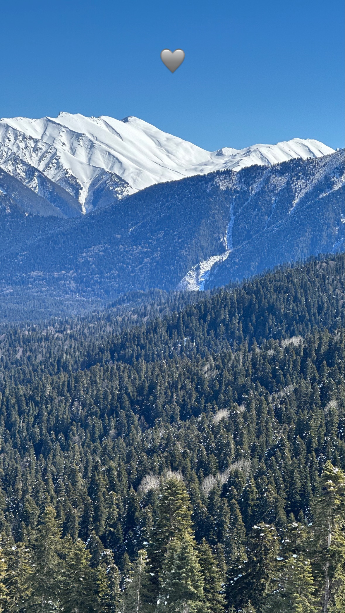 новая фото в сторис @svpogodina 12.03.2026