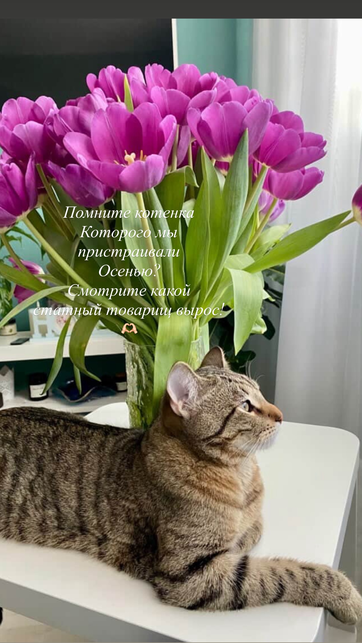 новая фото в сторис @kovalevahair 12.03.2026