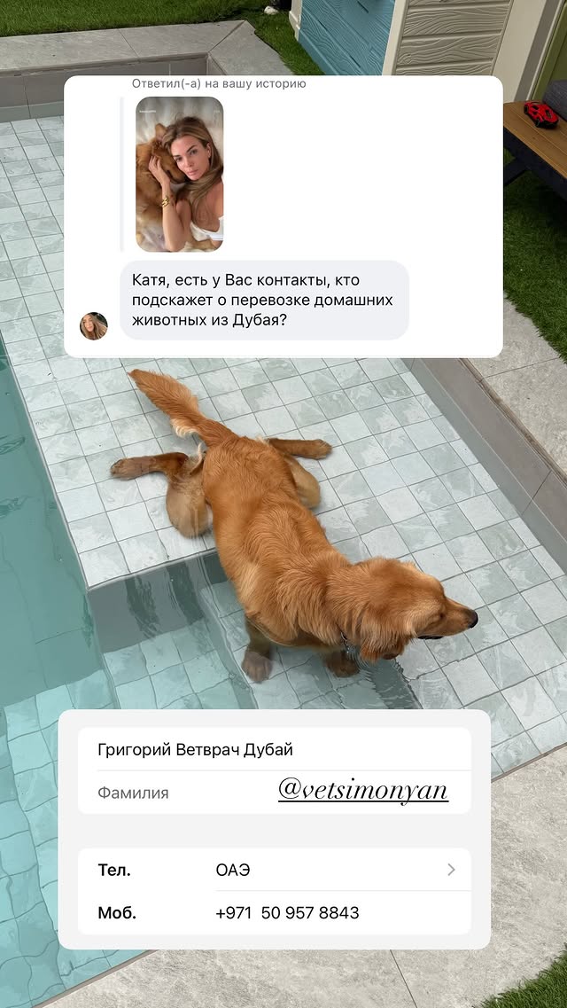 новая фото в сторис @katyajuja555 12.03.2026