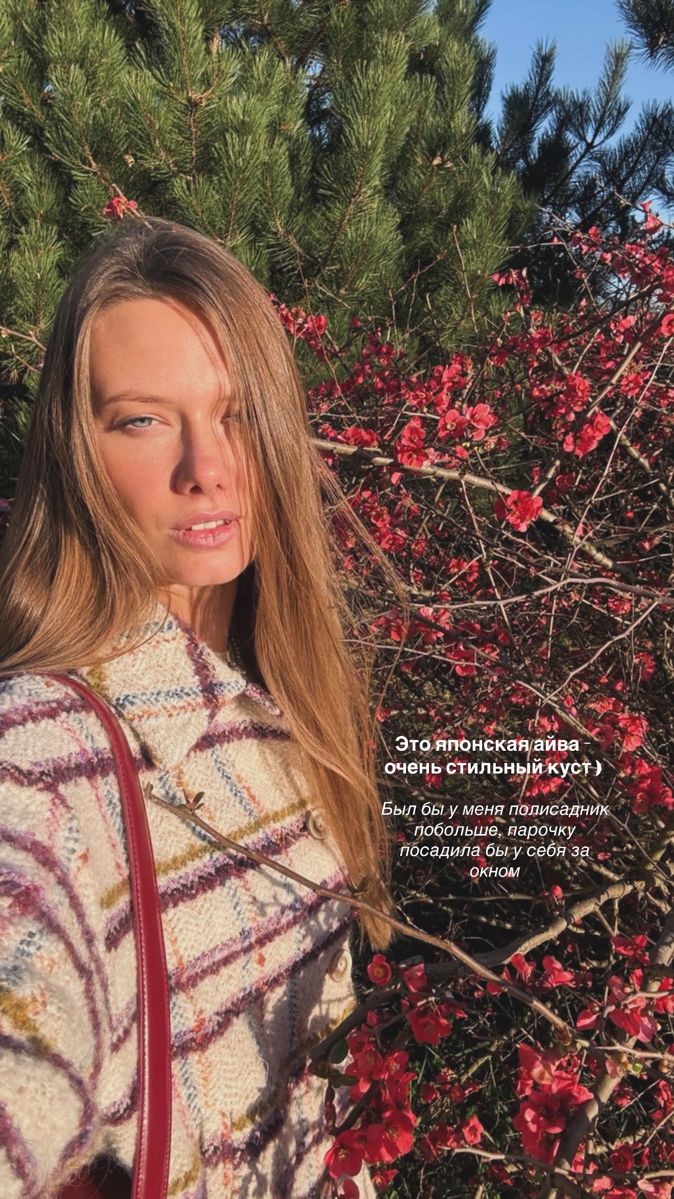 новая фото в сторис @lizaveta_shevtsova 14.03.2026