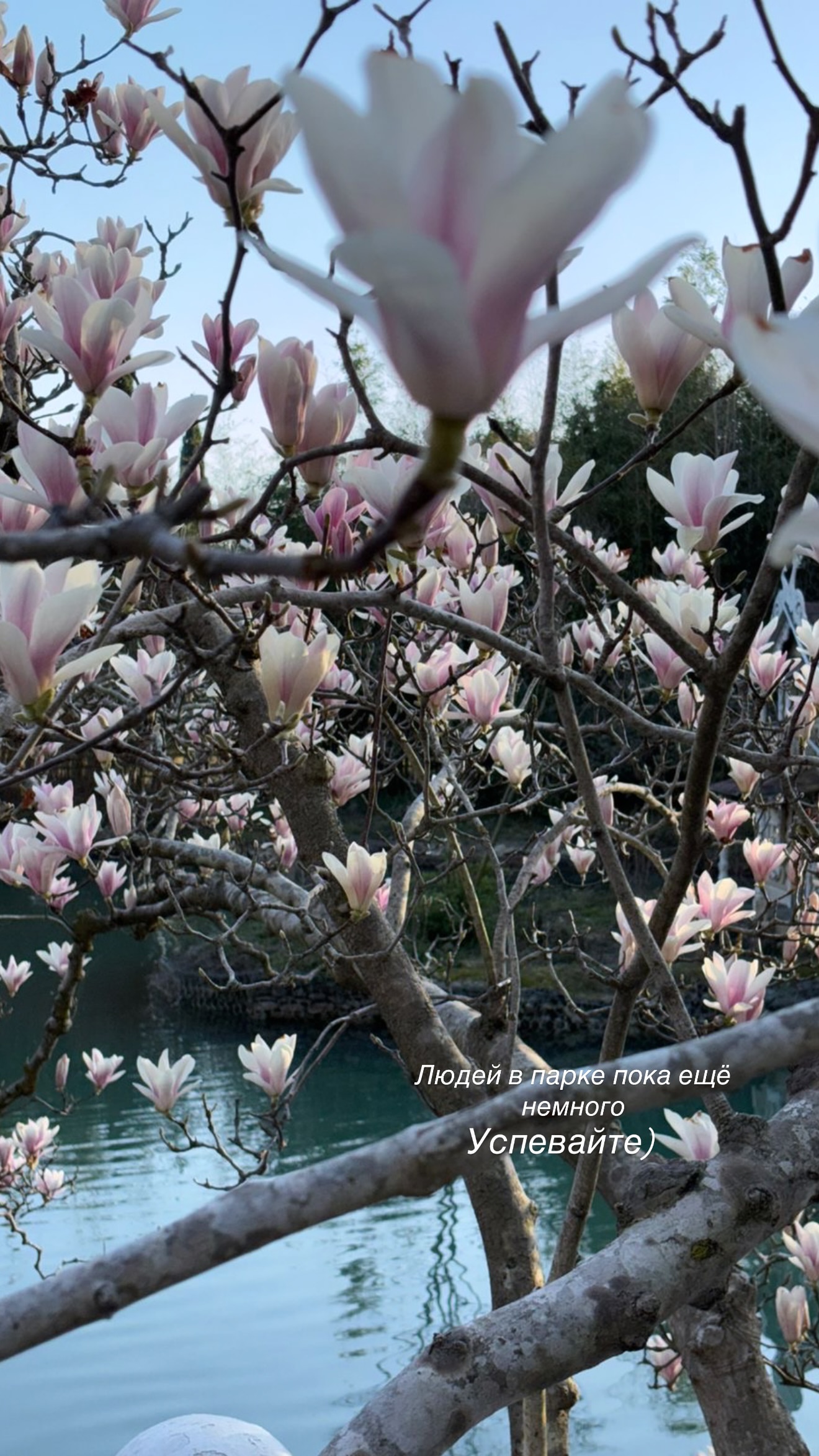новая фото в сторис @lizaveta_shevtsova 14.03.2026