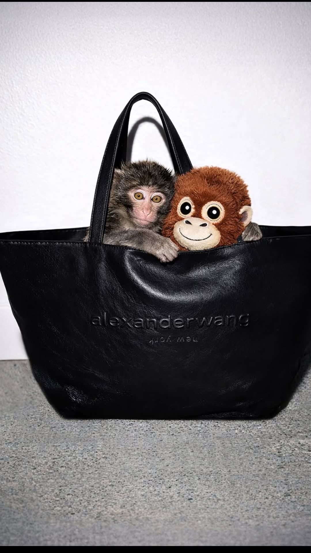 новая фото в сторис @borodylia 14.03.2026