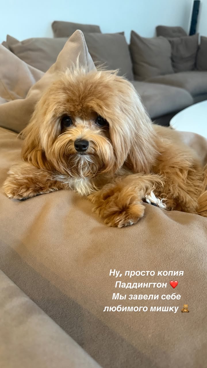 новая фото в сторис @bellasklyar 15.03.2026