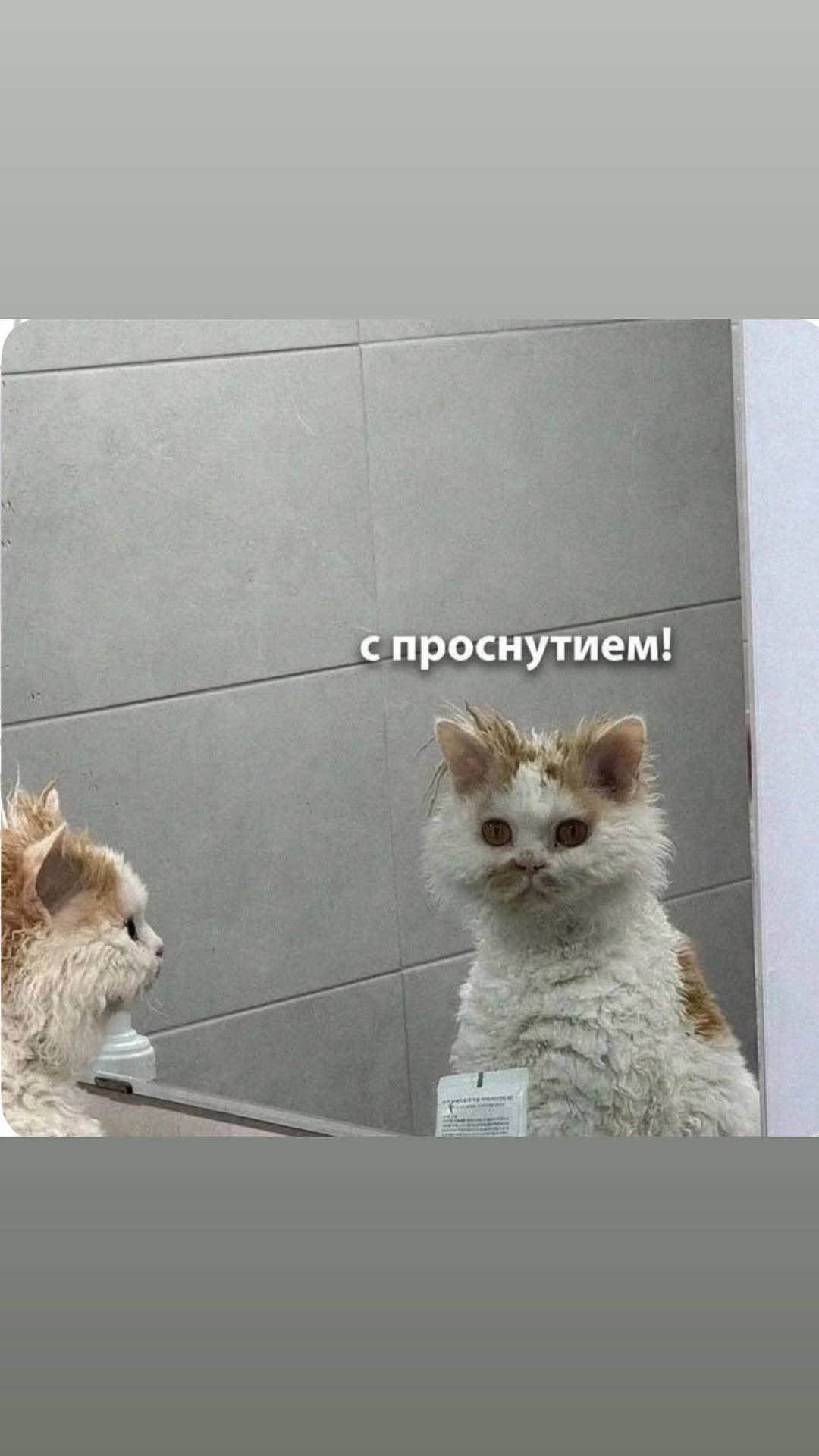 новая фото в сторис @radakaeva.fn 17.03.2026