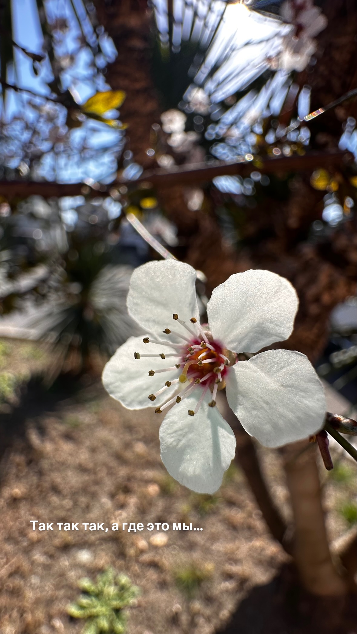 новая фото в сторис @svpogodina 18.03.2026