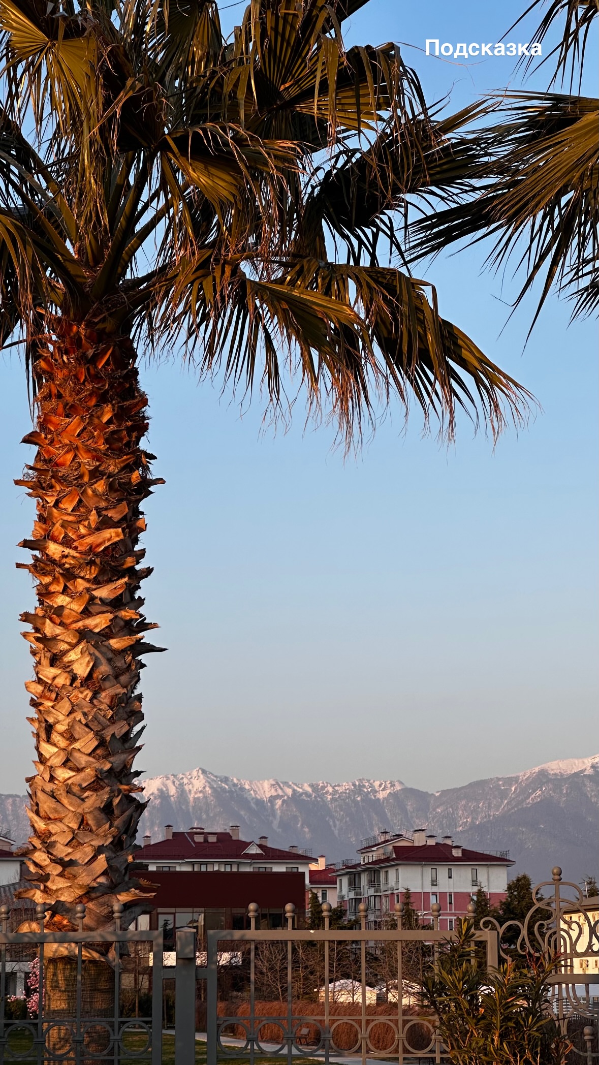 новая фото в сторис @svpogodina 18.03.2026