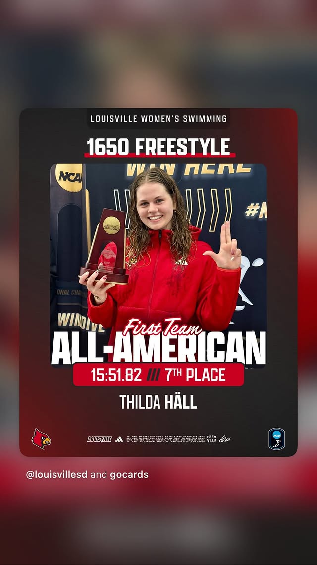 новая фото в сторис @sibasstean 19.03.2026