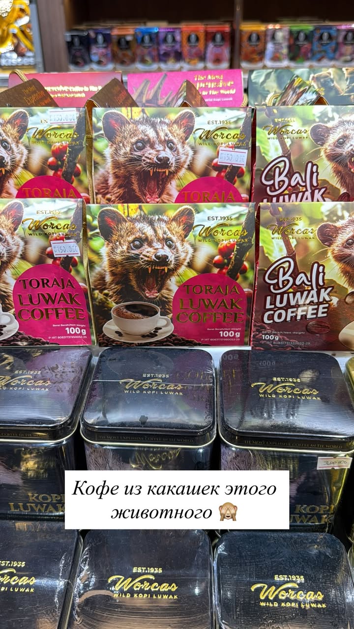 новая фото в сторис @katyajuja555 21.03.2026