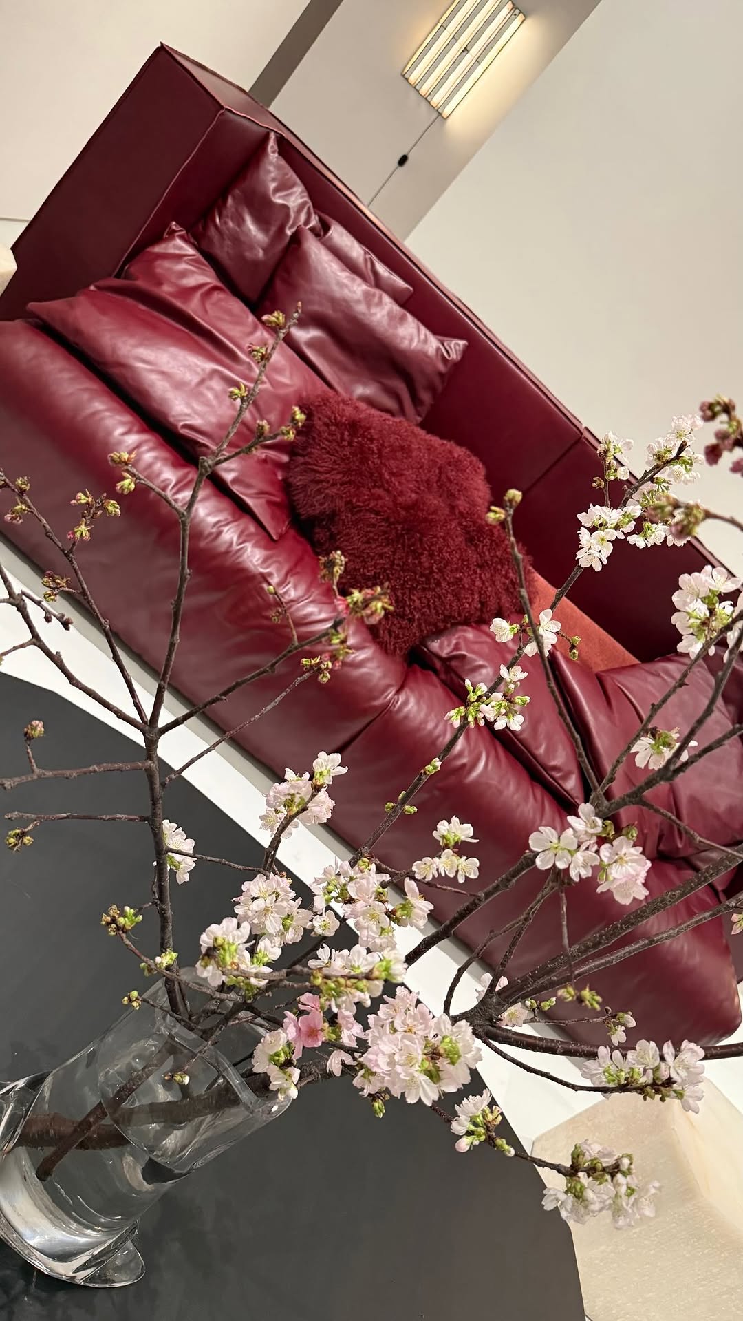 новая фото в сторис @nata_alayskaya 21.03.2026