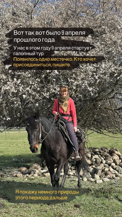 новая фото в сторис @svpogodina 22.03.2026