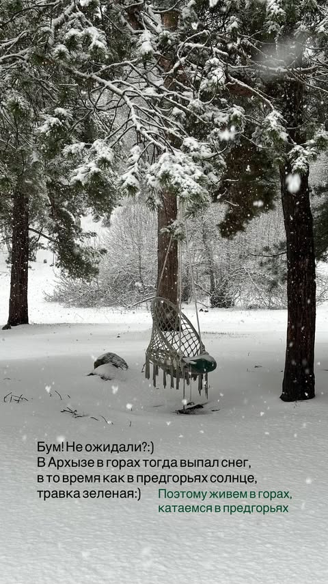 новая фото в сторис @svpogodina 22.03.2026