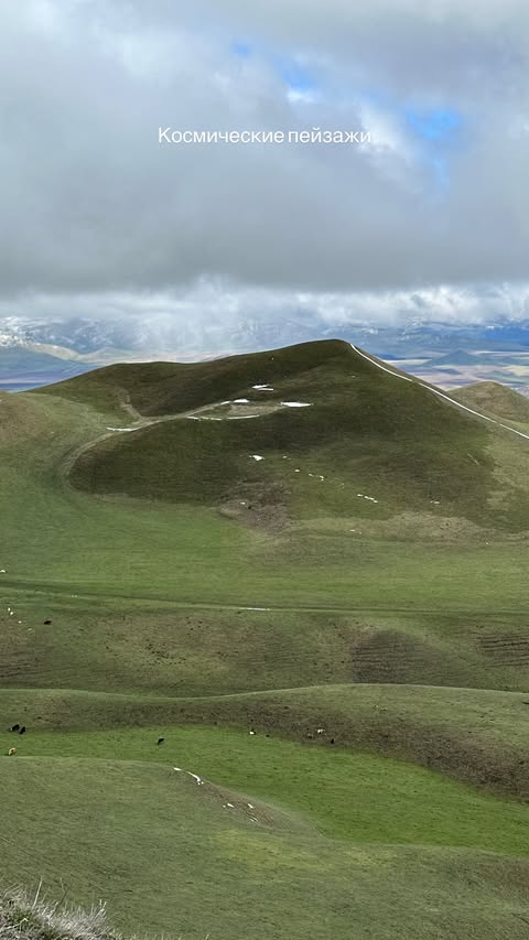 новая фото в сторис @svpogodina 22.03.2026