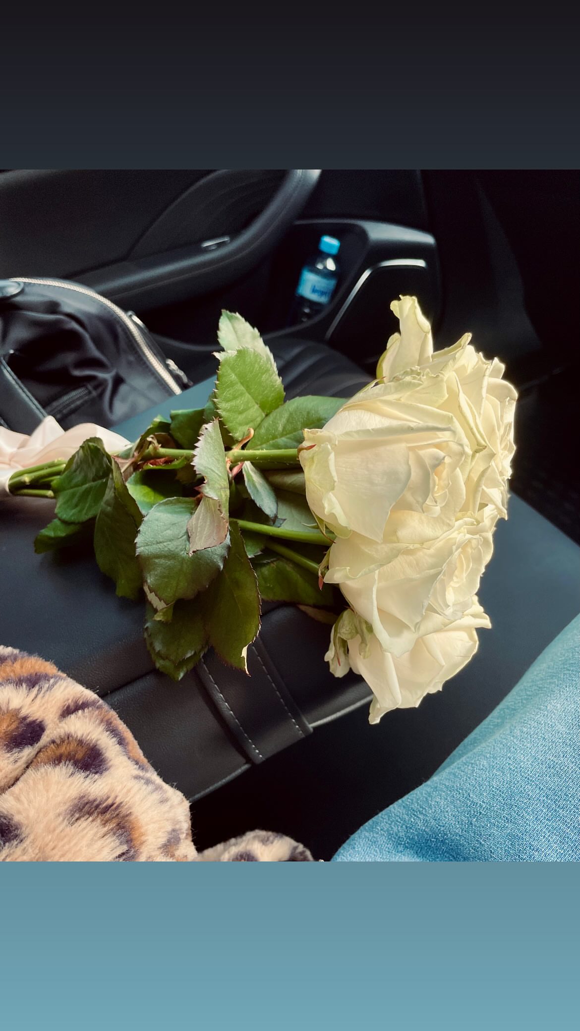 новая фото в сторис @lerabog96 24.03.2026