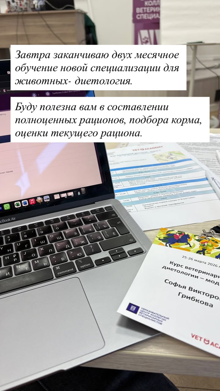 новая фото в сторис @sonyapandainlove 26.03.2026