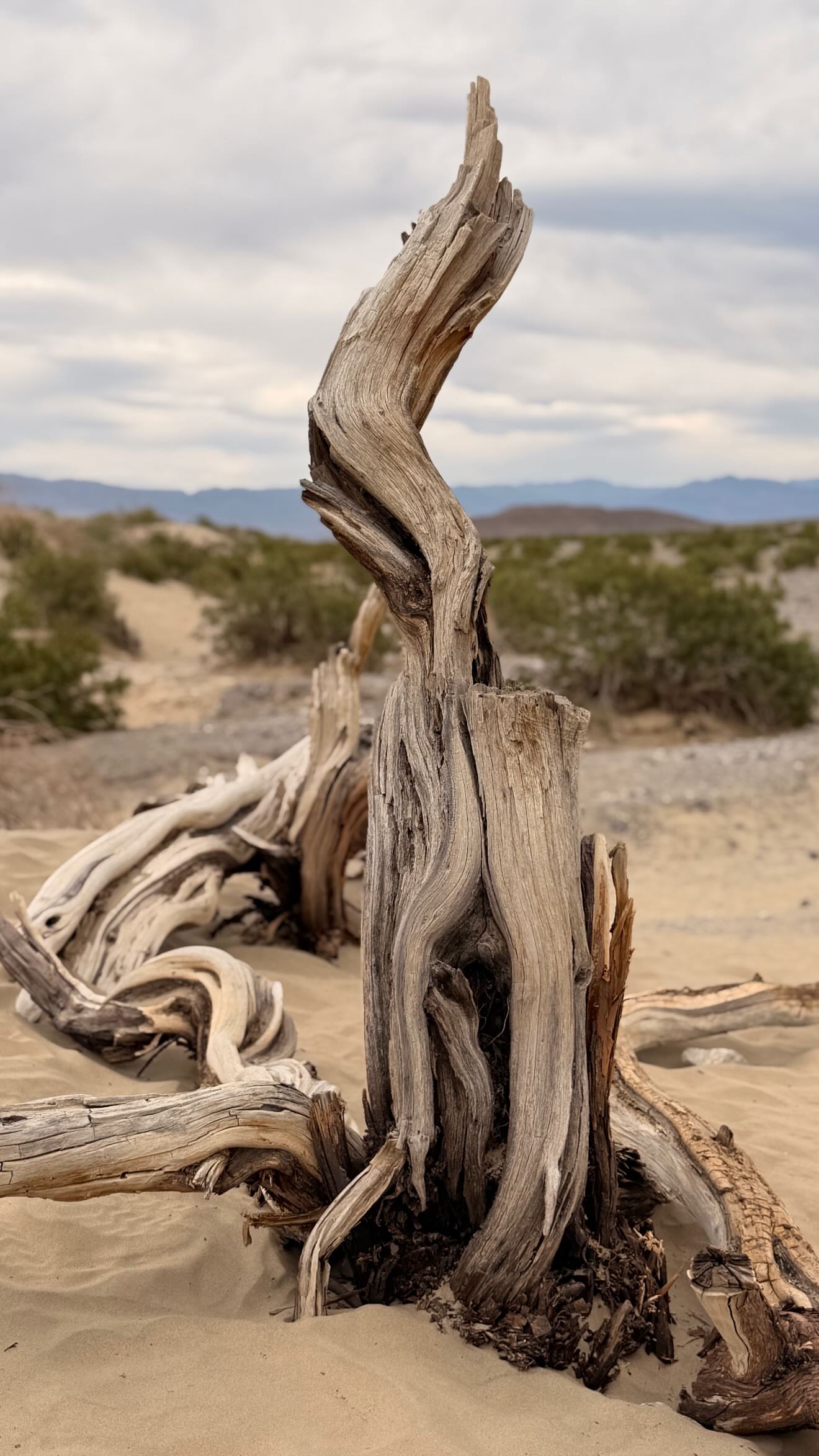 новая фото в сторис @sdemina682 01.04.2026