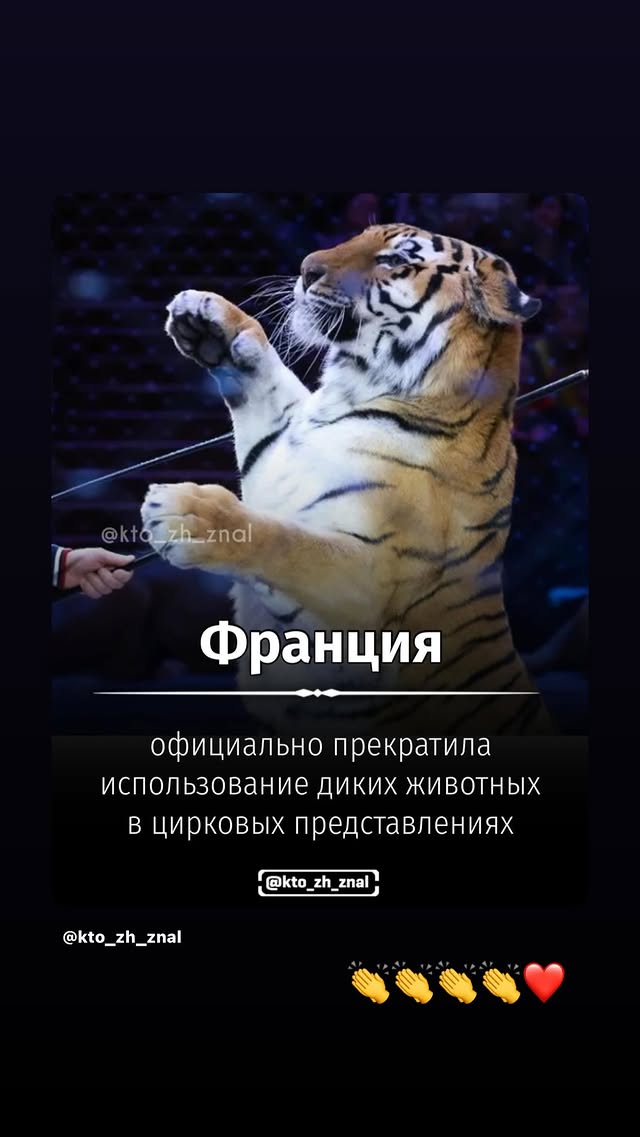 новая фото в сторис @rudovanata 01.04.2026