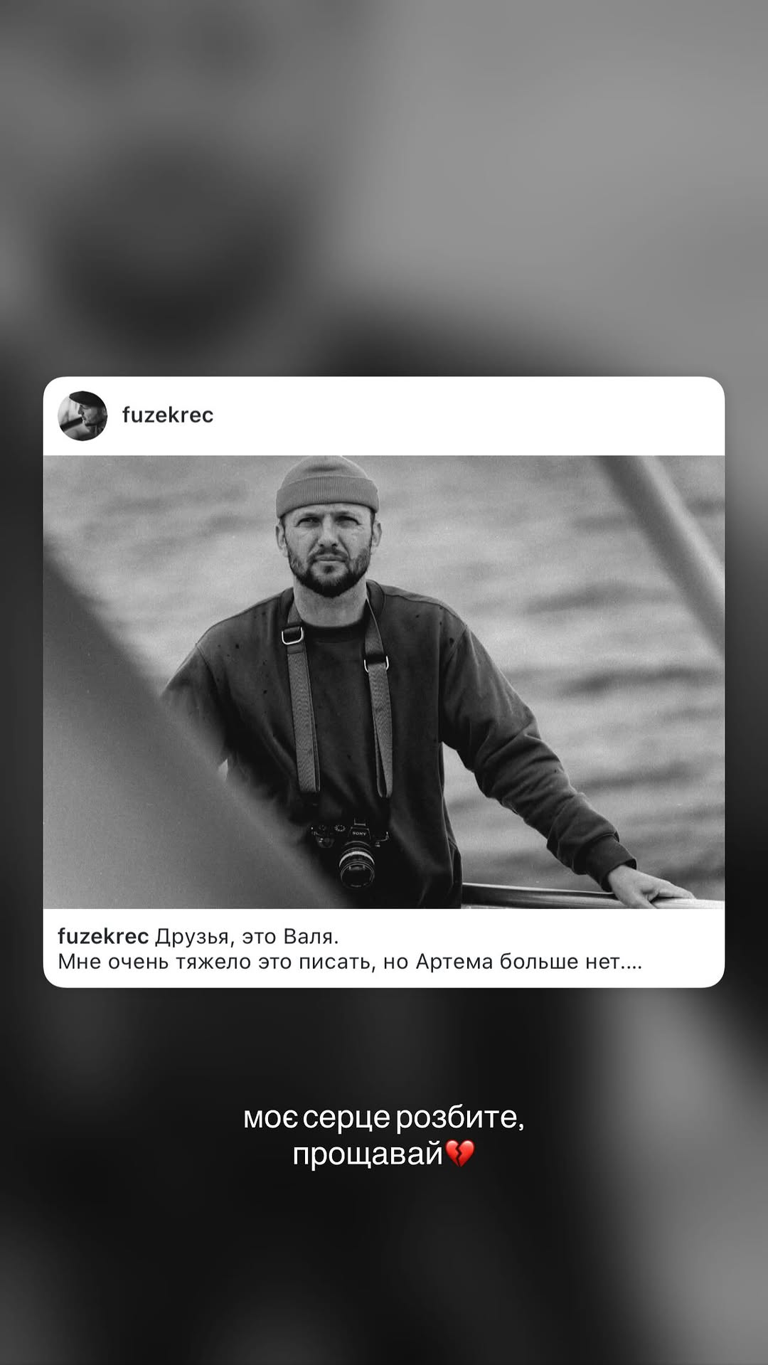 новая фото в сторис @lion 02.04.2026