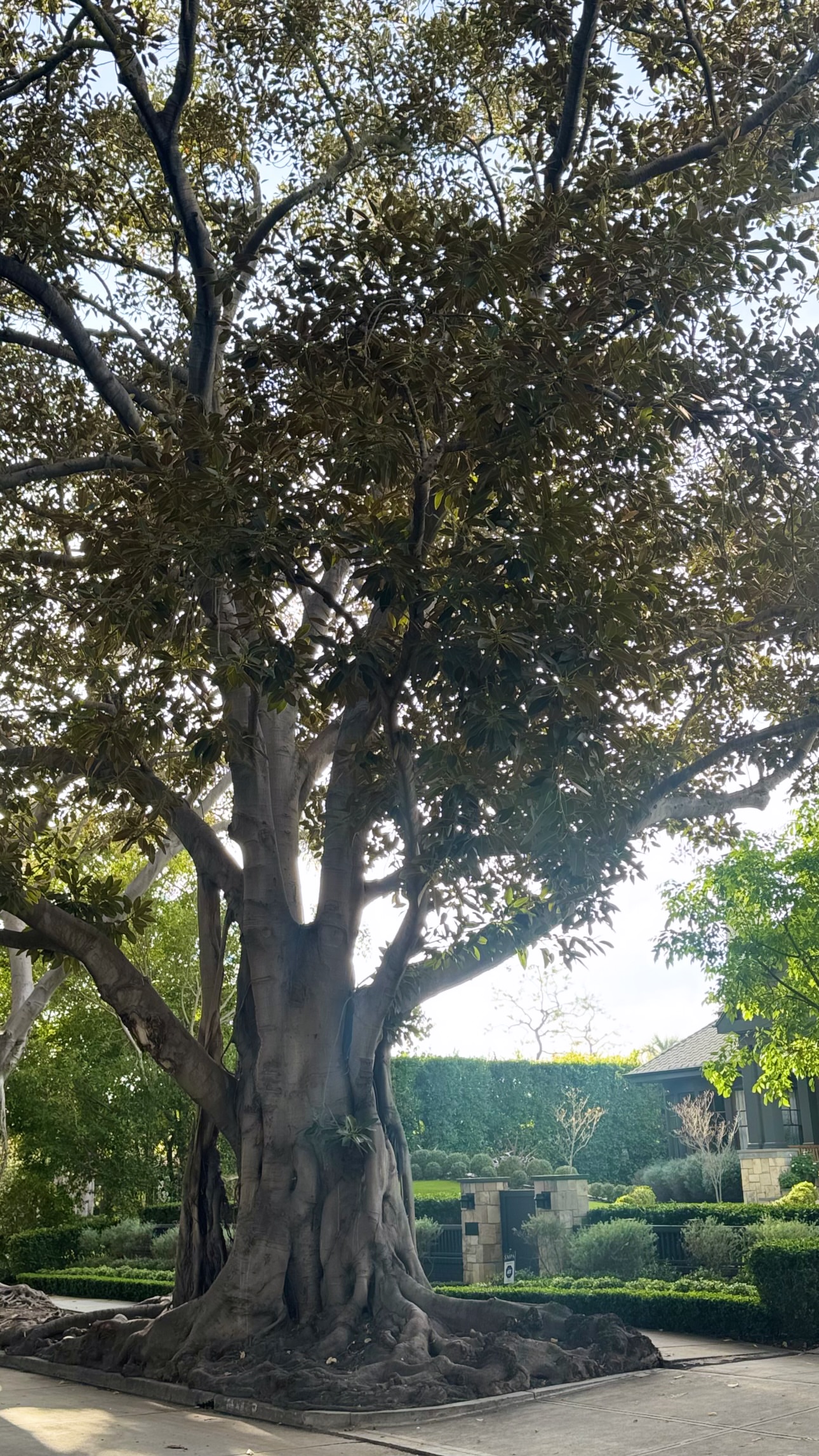 новая фото в сторис @natov13 03.04.2026