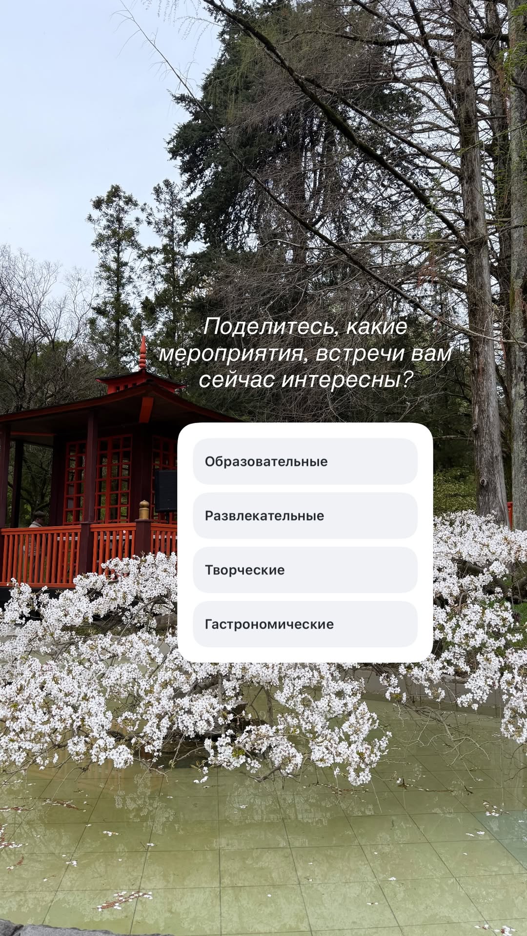 новая фото в сторис @lizaveta_shevtsova 03.04.2026