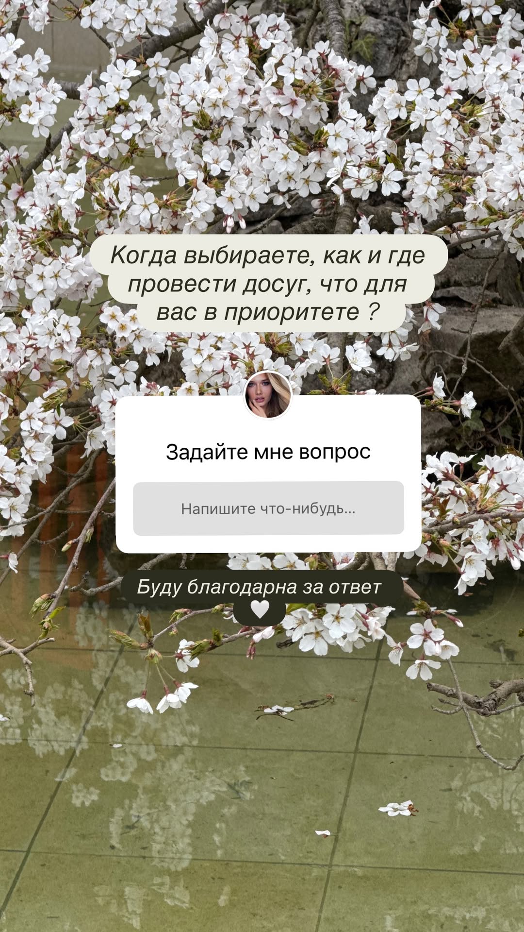 новая фото в сторис @lizaveta_shevtsova 03.04.2026