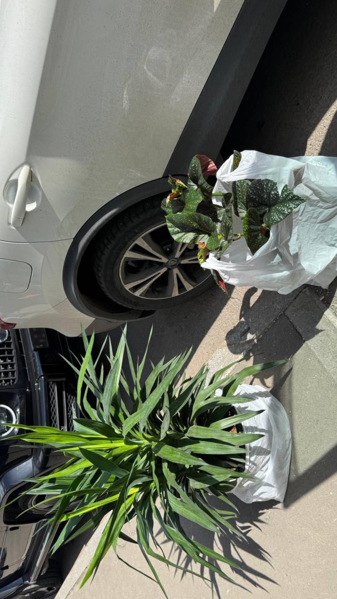 новая фото в сторис @natalya.gneusheva 04.04.2026