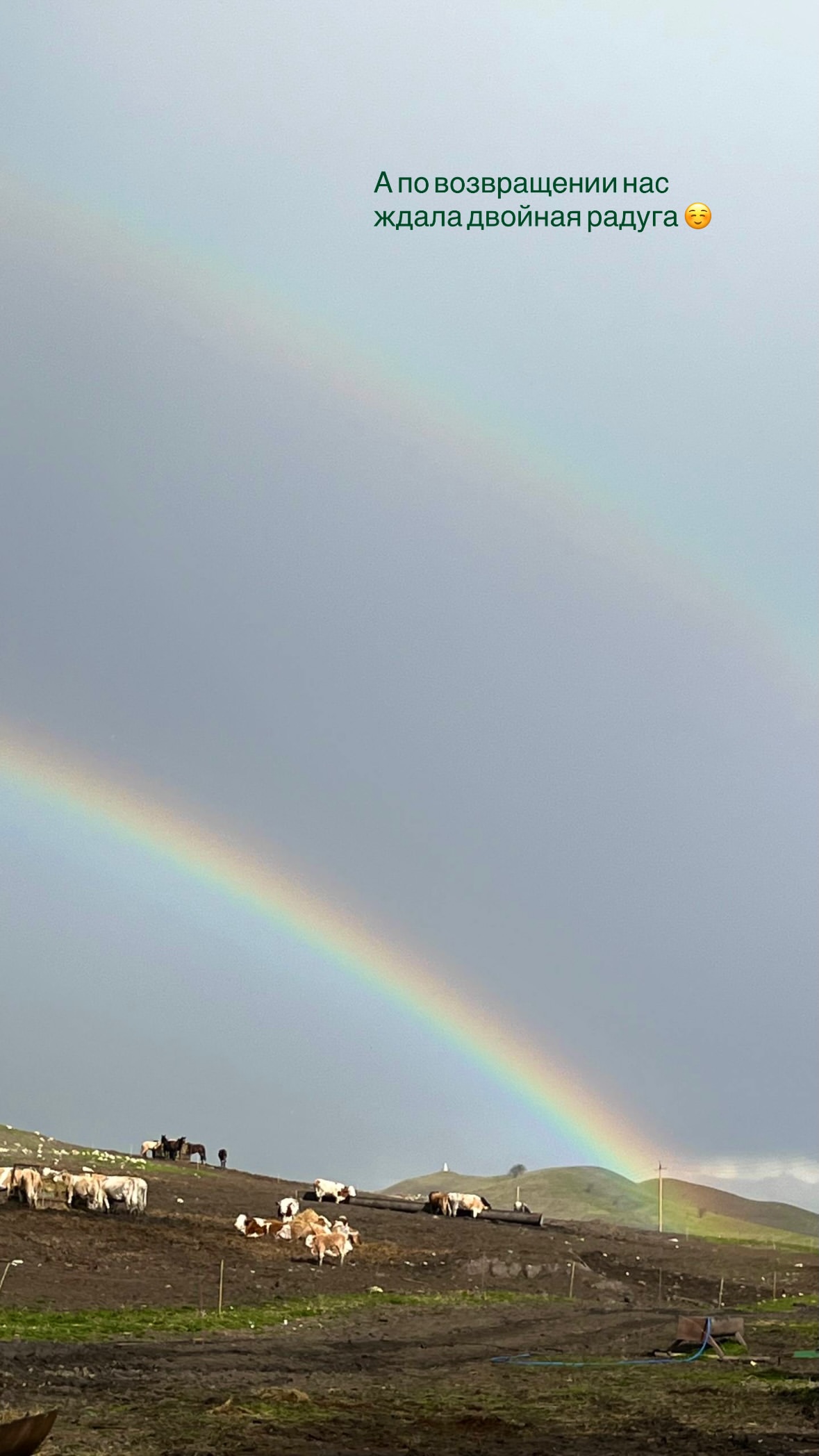 новая фото в сторис @svpogodina 06.04.2026