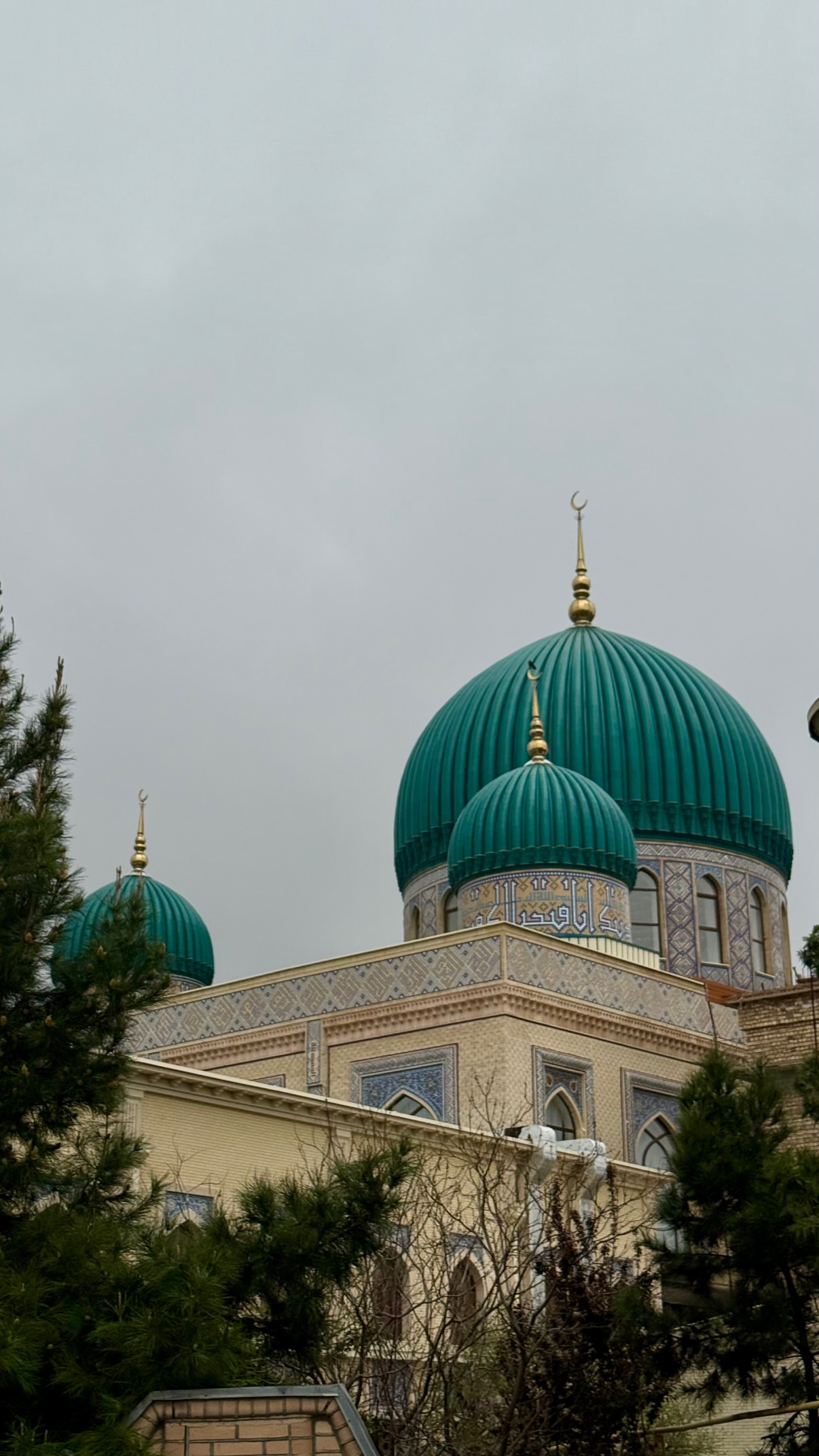 новая фото в сторис @andreyonegin 06.04.2026