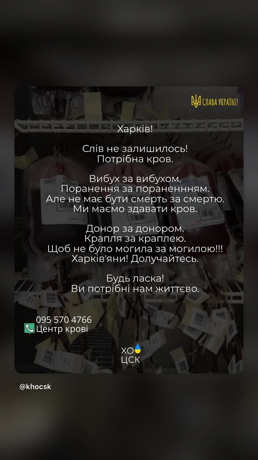 новая фото в сторис @lion 06.04.2026