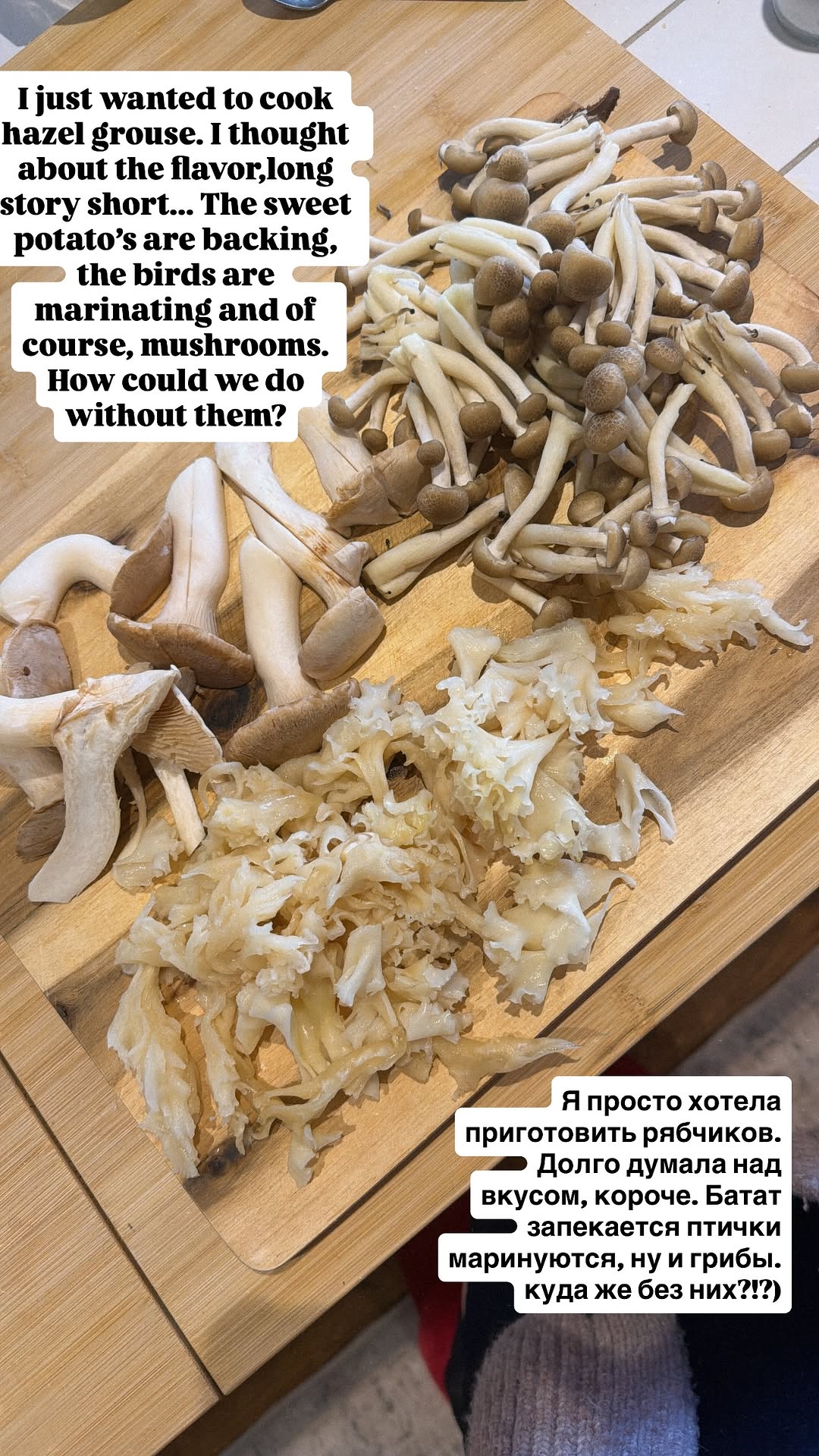 новая фото в сторис @dardarya 07.04.2026