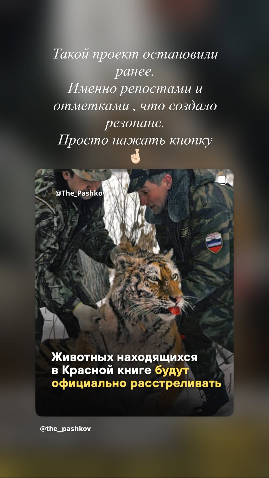 новая фото в сторис @kovalevahair 08.04.2026