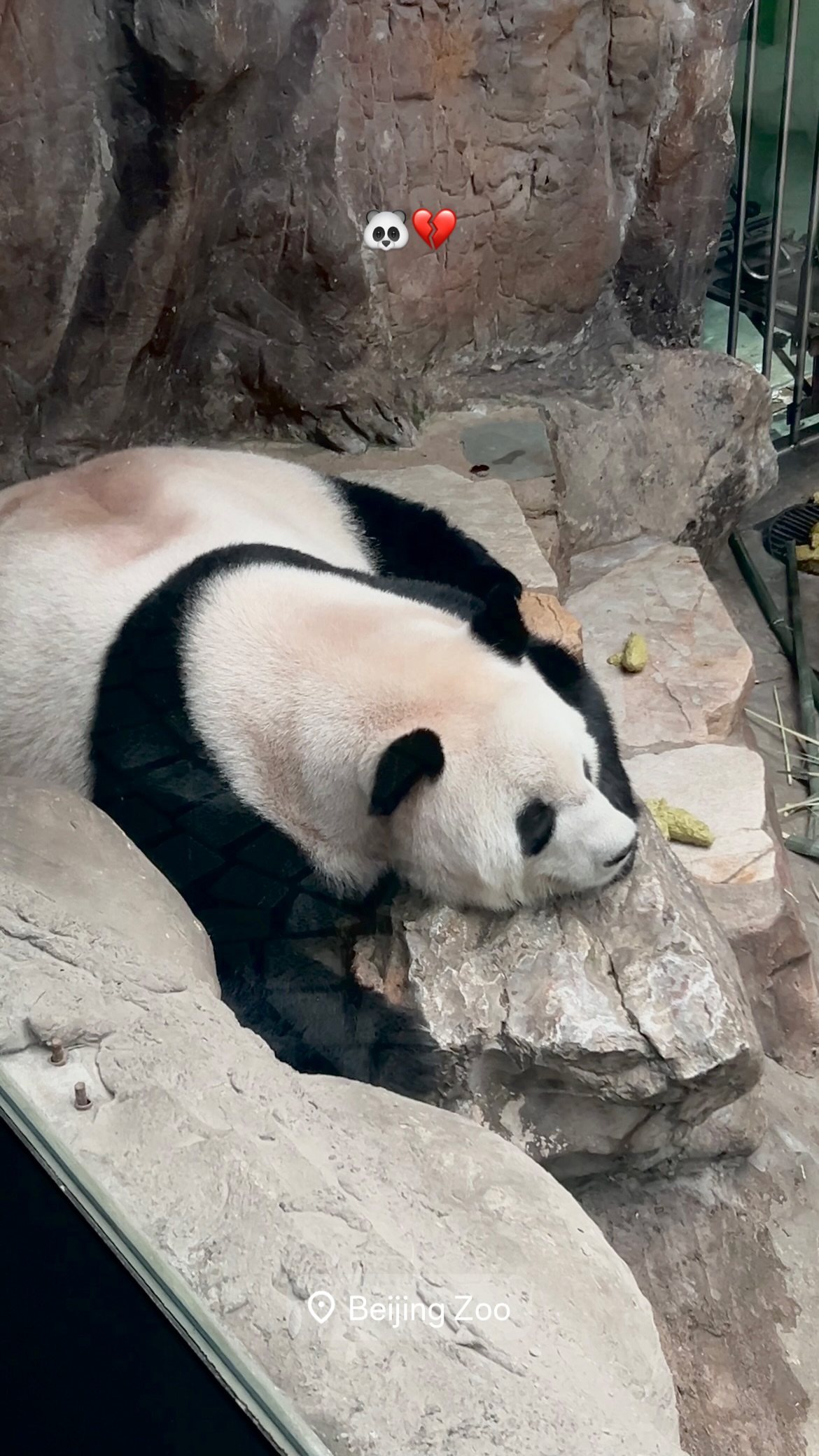 новая фото в сторис @cher.nikaa_ 08.04.2026