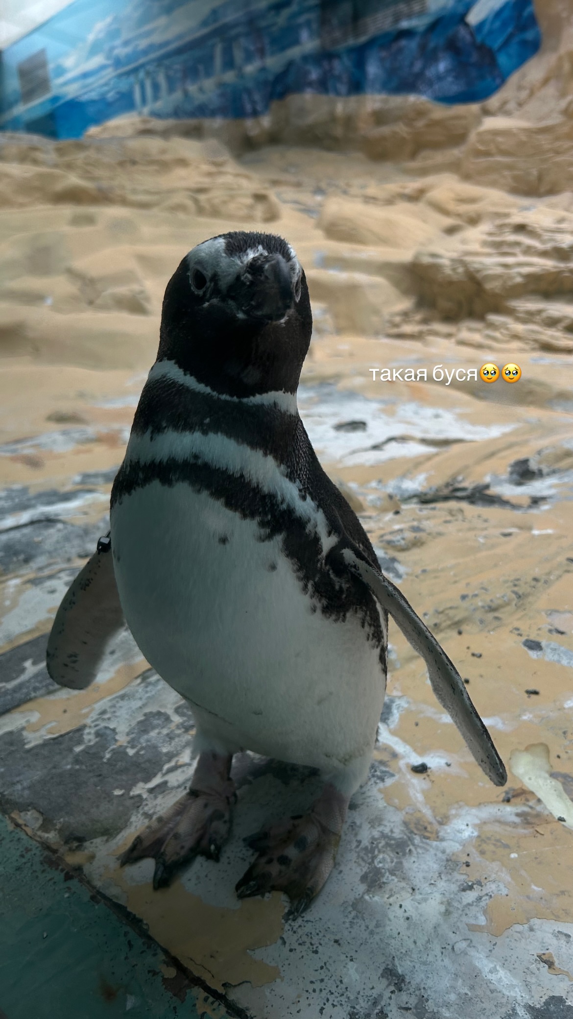 новая фото в сторис @cher.nikaa_ 08.04.2026